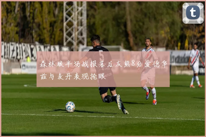 森林狼半场战报落后灰熊8分爱德华兹与麦丹表现抢眼