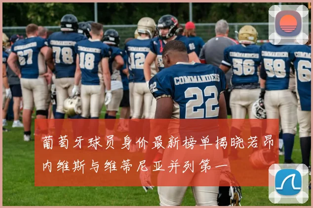 葡萄牙球员身价最新榜单揭晓若昂内维斯与维蒂尼亚并列第一