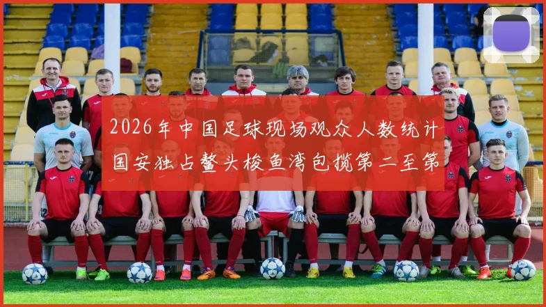 2026年中国足球现场观众人数统计国安独占鳌头梭鱼湾包揽第二至第七位